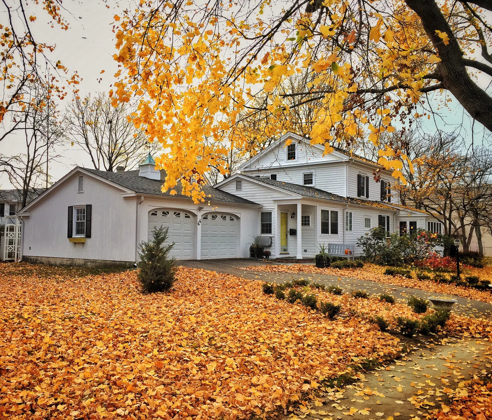 Backyard lawn beside a house, where geothermal loops are buried