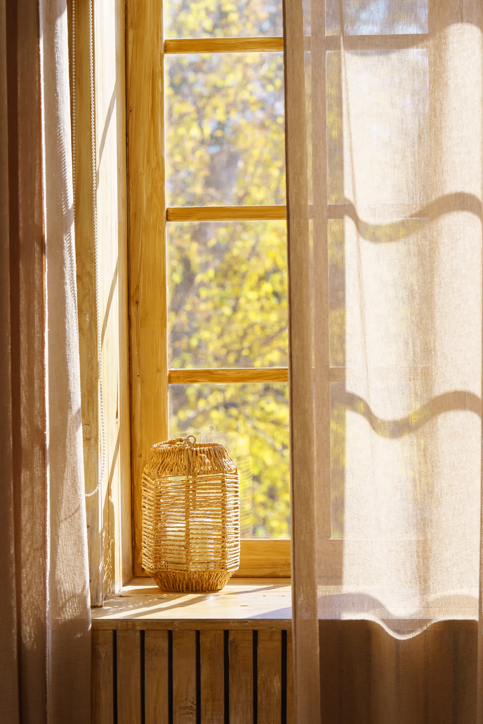 Morning light coming through a window into a quiet room